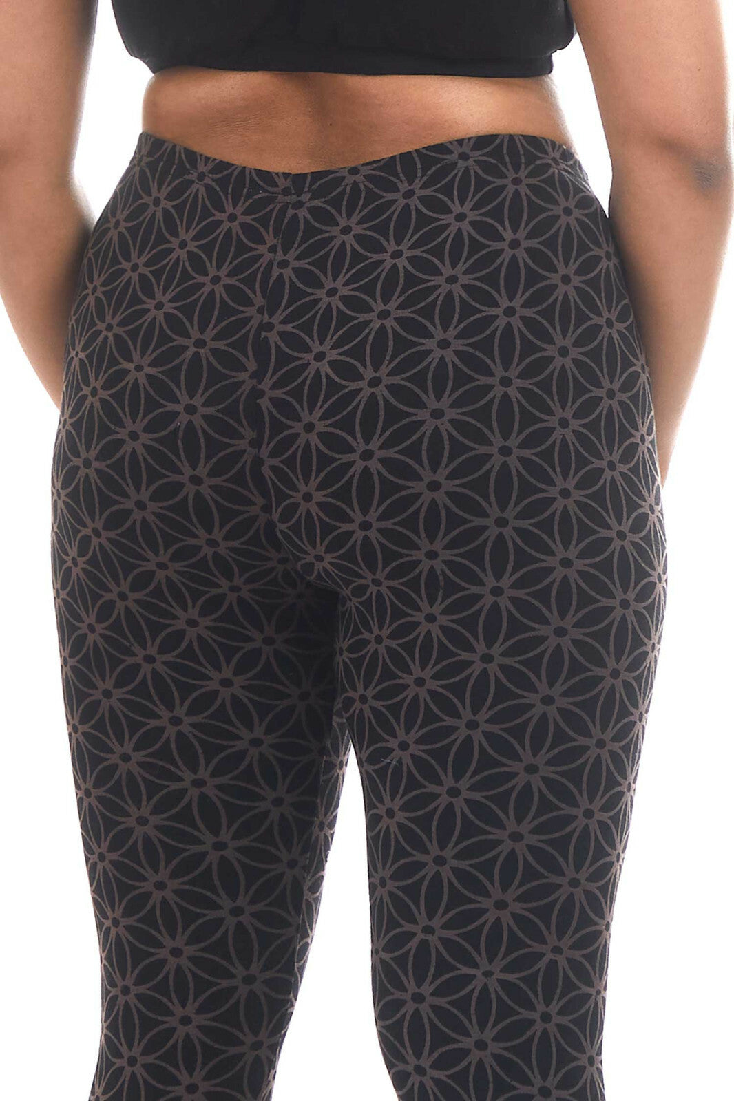 brown_fol_1776498375_1b21d957.jpg