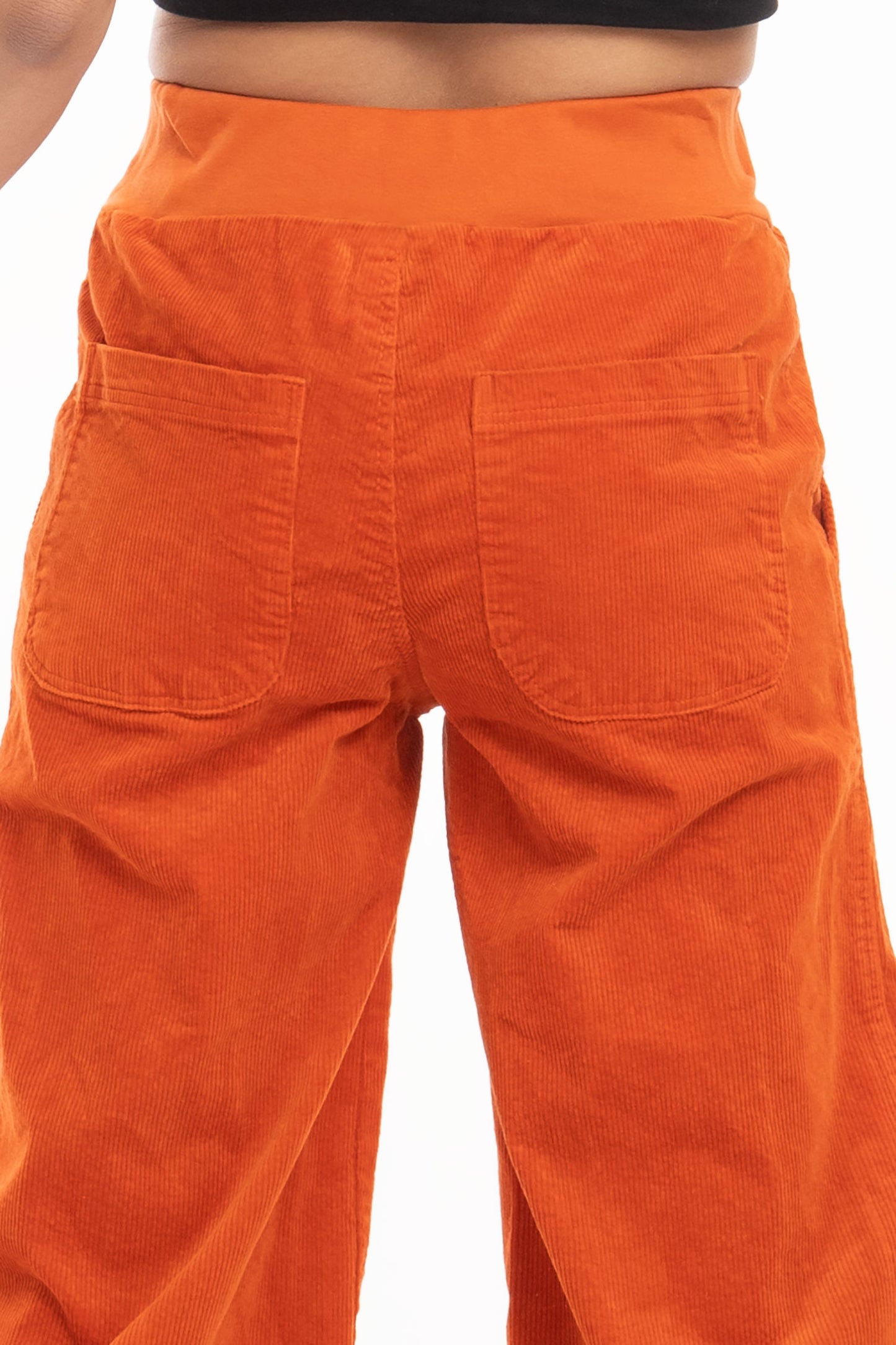 orange5_1780916070_91b2bd41.jpg